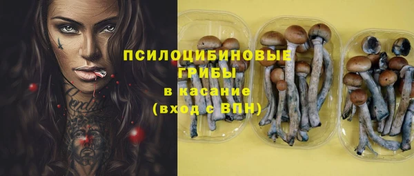 Альфа ПВП Белокуриха