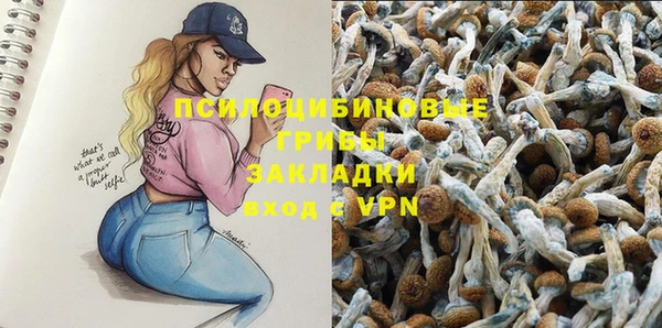 экстази Богданович