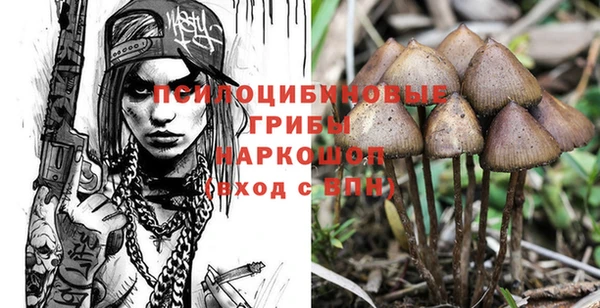 Альфа ПВП Белокуриха