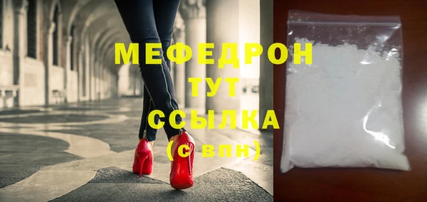 молекула духа Богородицк