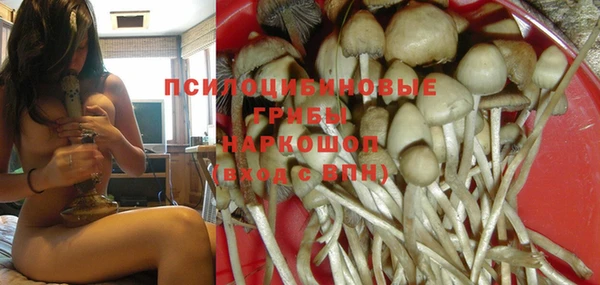 Альфа ПВП Белокуриха