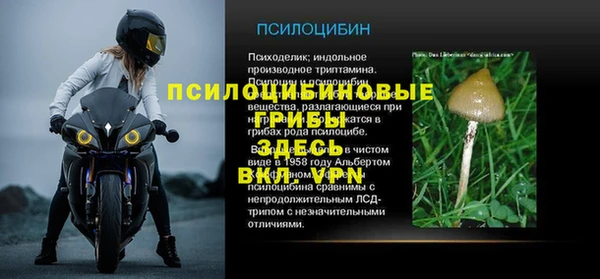 Альфа ПВП Белокуриха