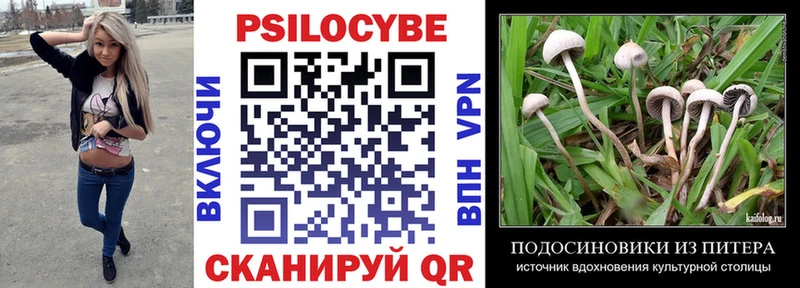 магазин продажи Вязники Галлюциногенные грибы MAGIC MUSHROOMS